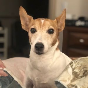 Meet your Posher, Donnie